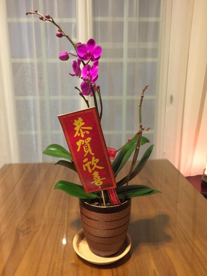 Bridge Bed And Breakfast Hualien Exterior foto